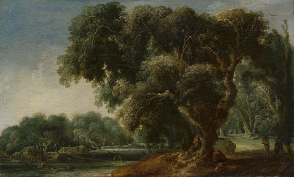 Vorstellbare Waldlandschaft