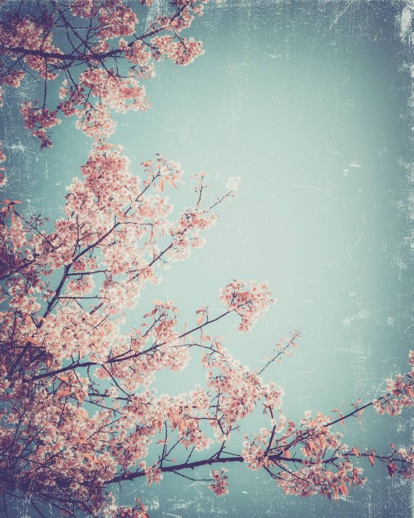Vintage japanische Blüten