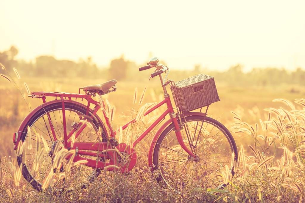 Vintage Fahrrad