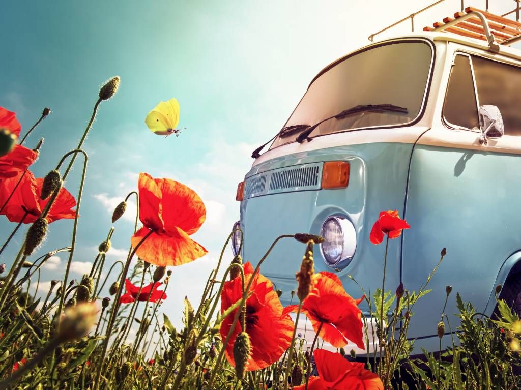 Vintage Volkswagen Bus