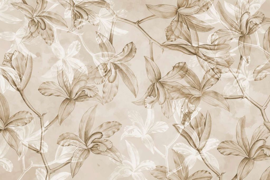 Orchideen Traumlandschaft Sepia