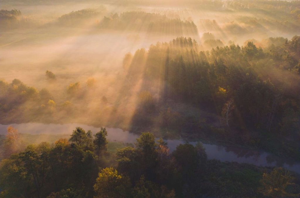 Träumerischer Morgennebel in der Natur