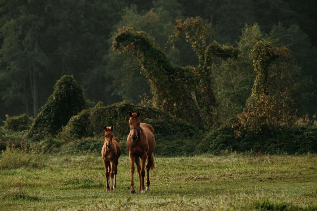 Pferde in einer mystischen Landschaft
