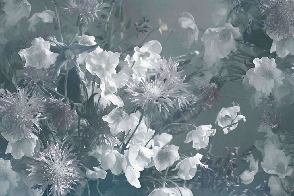 Anemonen Blau