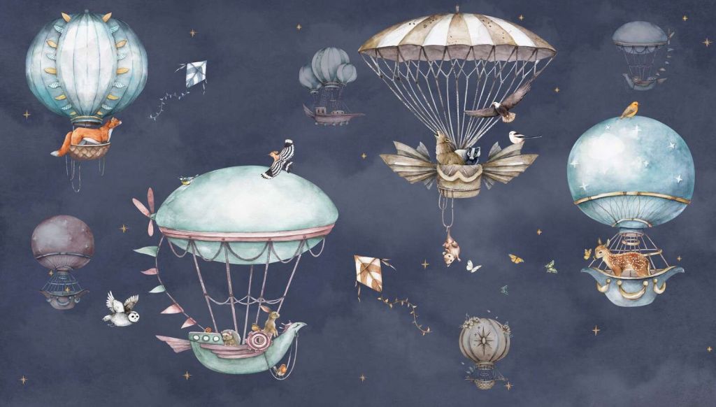 Ballonfahrt