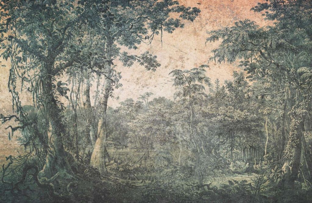 Verwittertes tropisches Waldpanorama