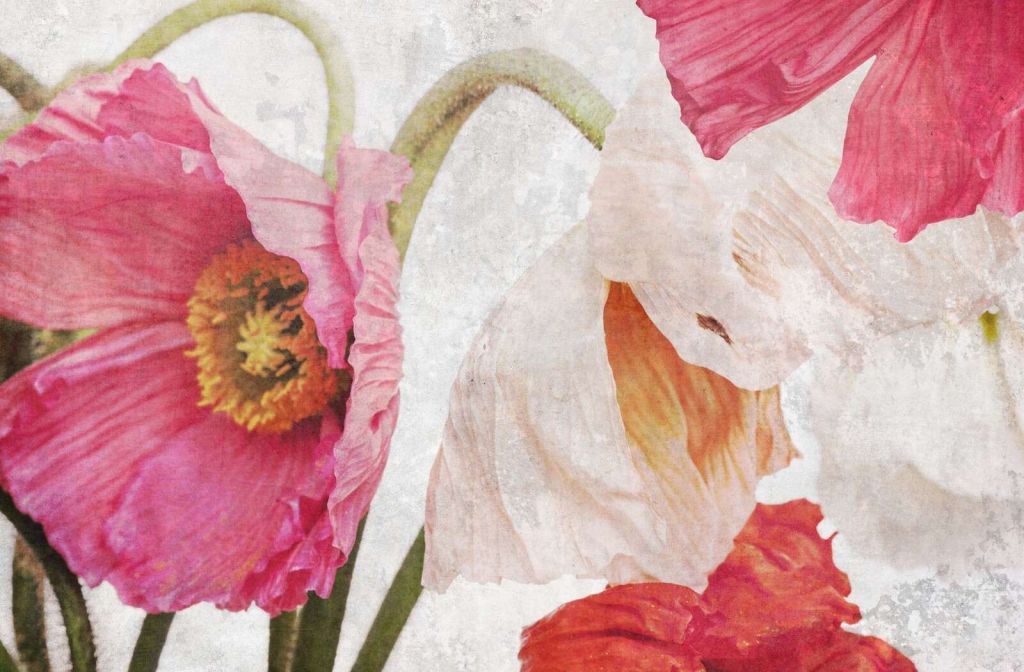 Tanzende Mohnblumen im Sommerhimmel