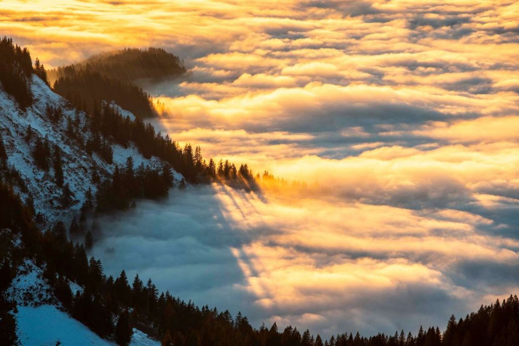 Sonnenschein über verschneitem Bergwald