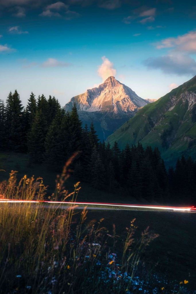 Abendlicht auf Alpengipfel mit Blumenfeld.
