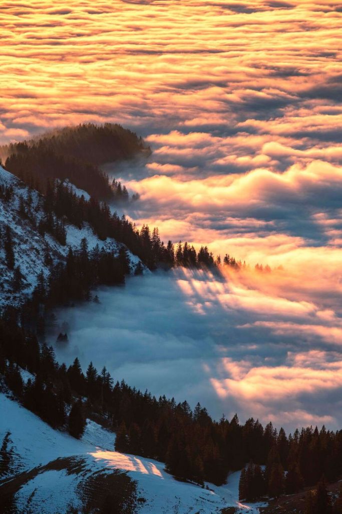 Morgenglanz über nebligem Bergwald