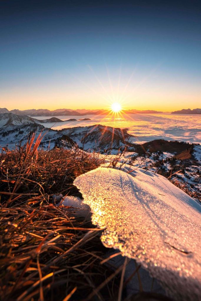 Morgensonne auf glitzernder Bergwiese