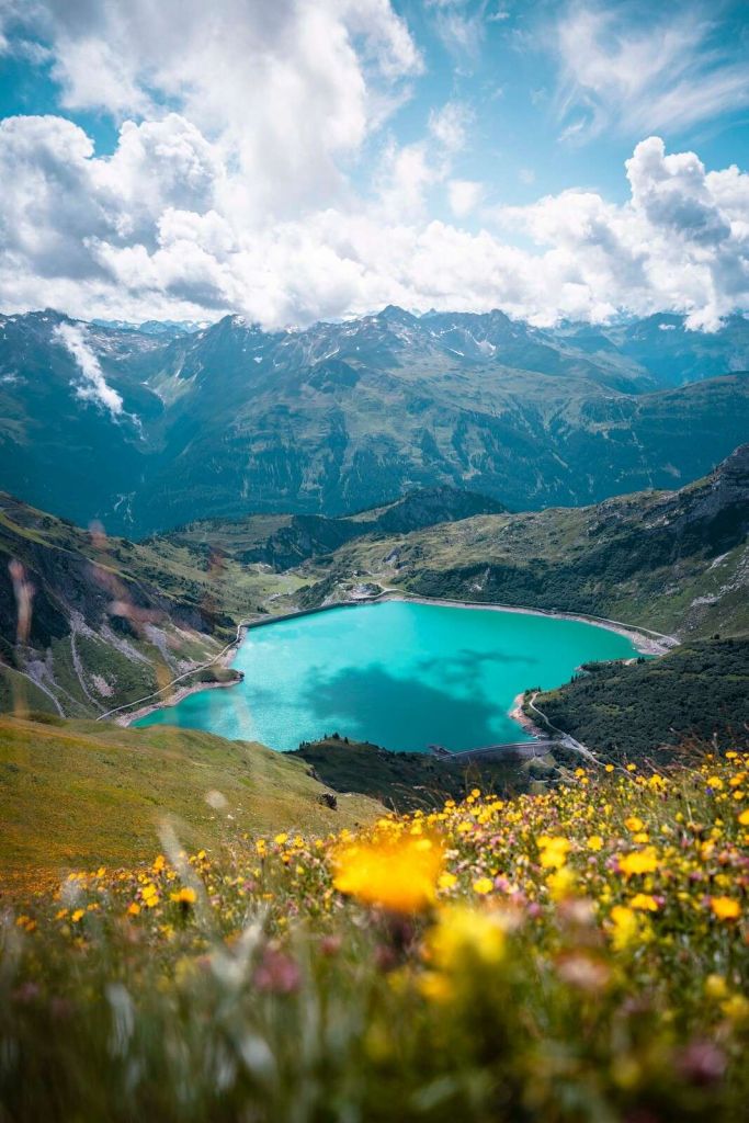 Blumenwiese am türkisfarbenen Bergsee