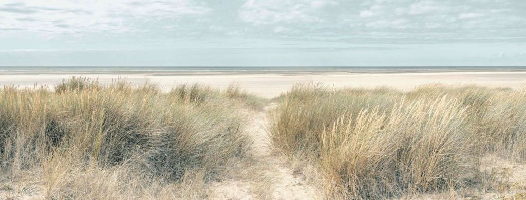 Grasige Sanddünen an der Meeresküste unter blauem Himmel.