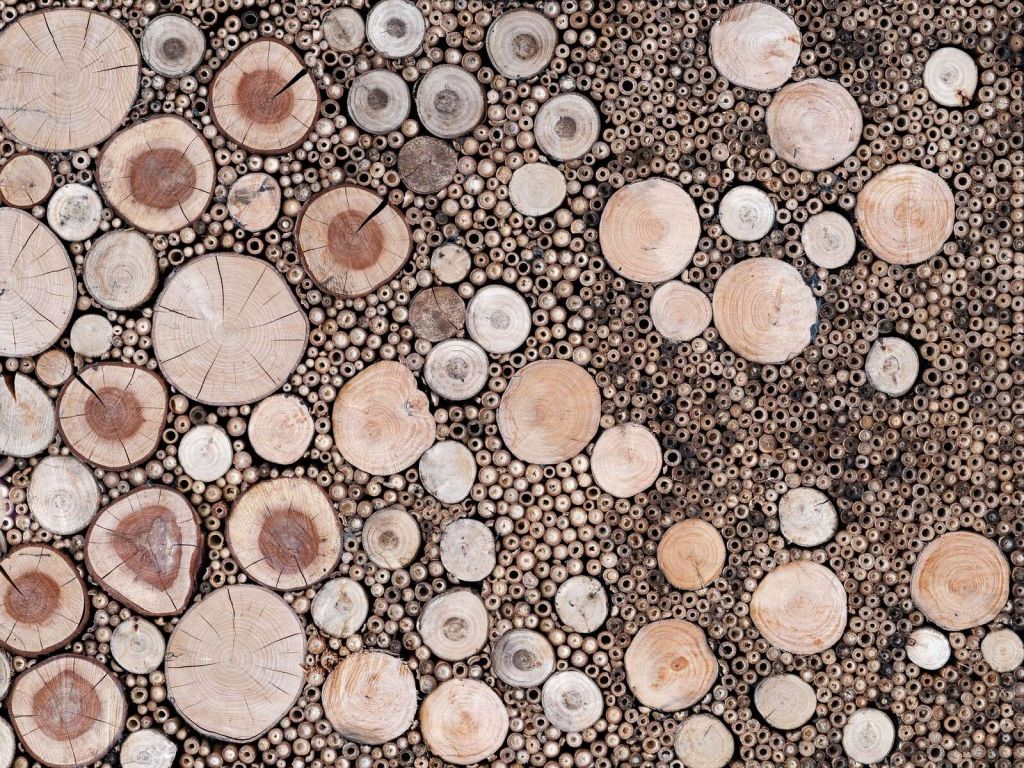 Holzstämme