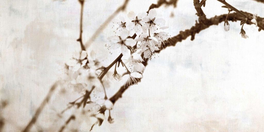Blütenzweig in sanfter Stille
