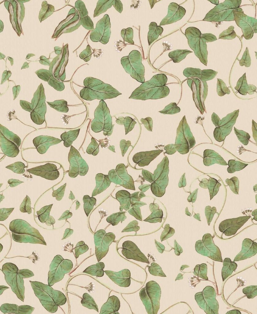 Kletternde Bohnenranken auf Creme