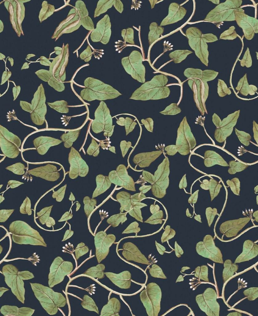 Kletternde Bohnenranken in Nachtblau