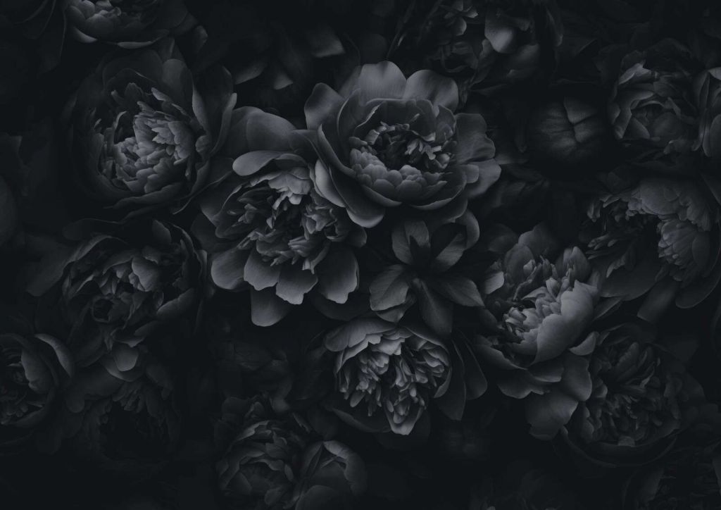 Üppige Blumen in Schwarz und Grau