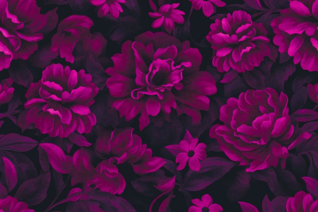 Samtblumen rosa florale Opulenz