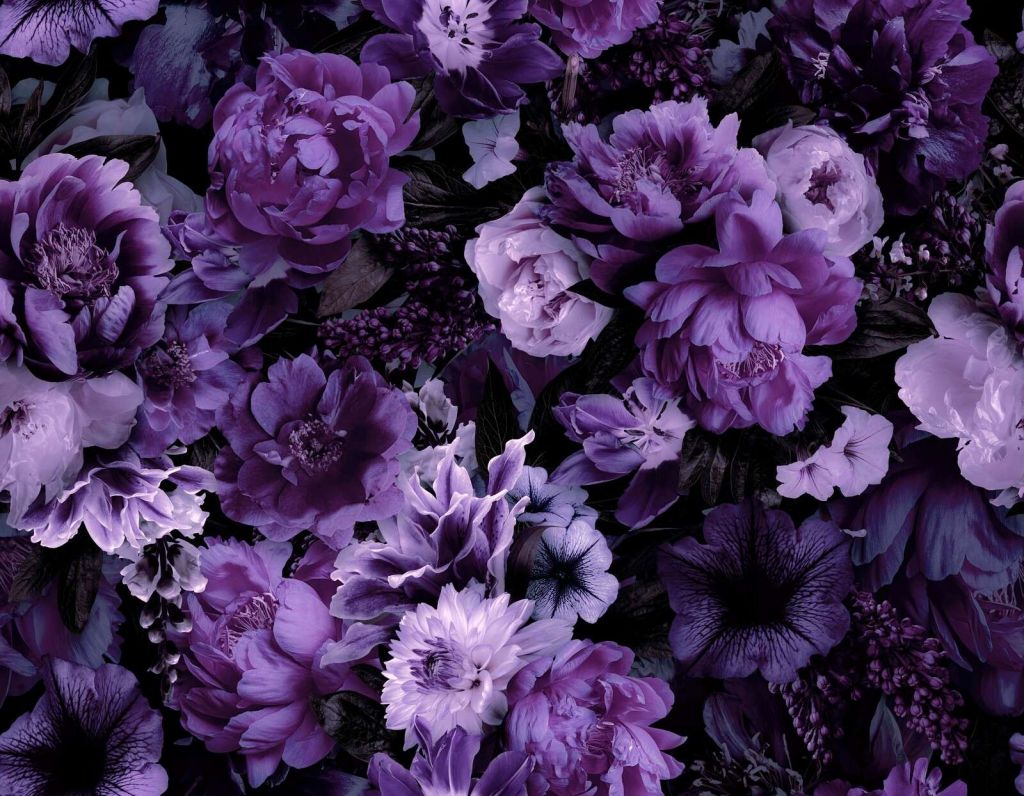 Florale barocke Opulenz in sattem Violett