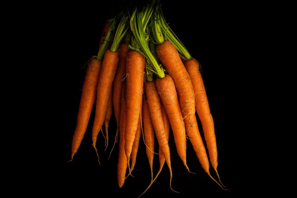 Orangene Wurzeln