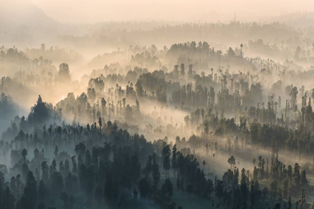 Nebelige Berge in Indonesien