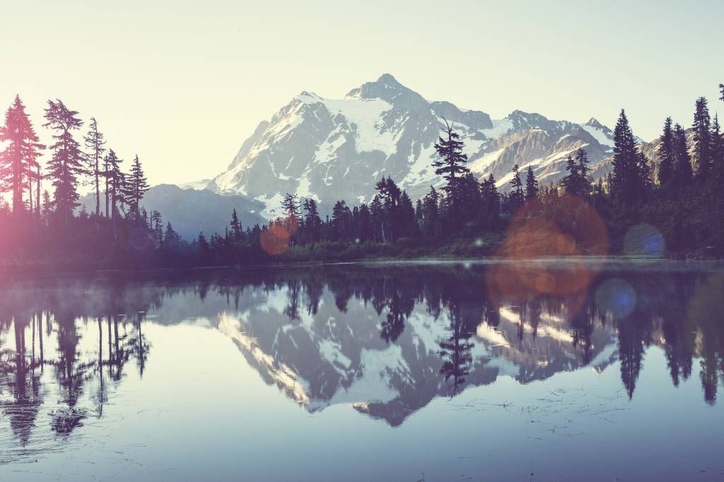 Bergsee mit Wald