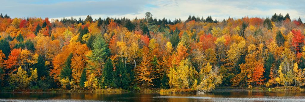 See von Herbstbäumen