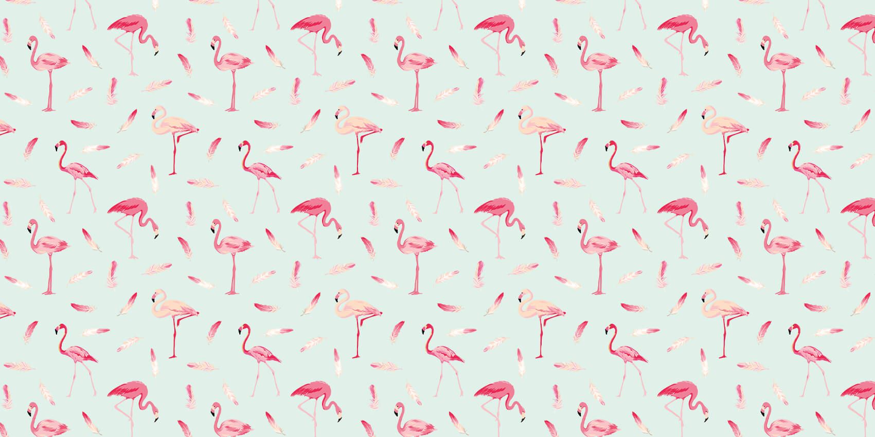 Flamingos