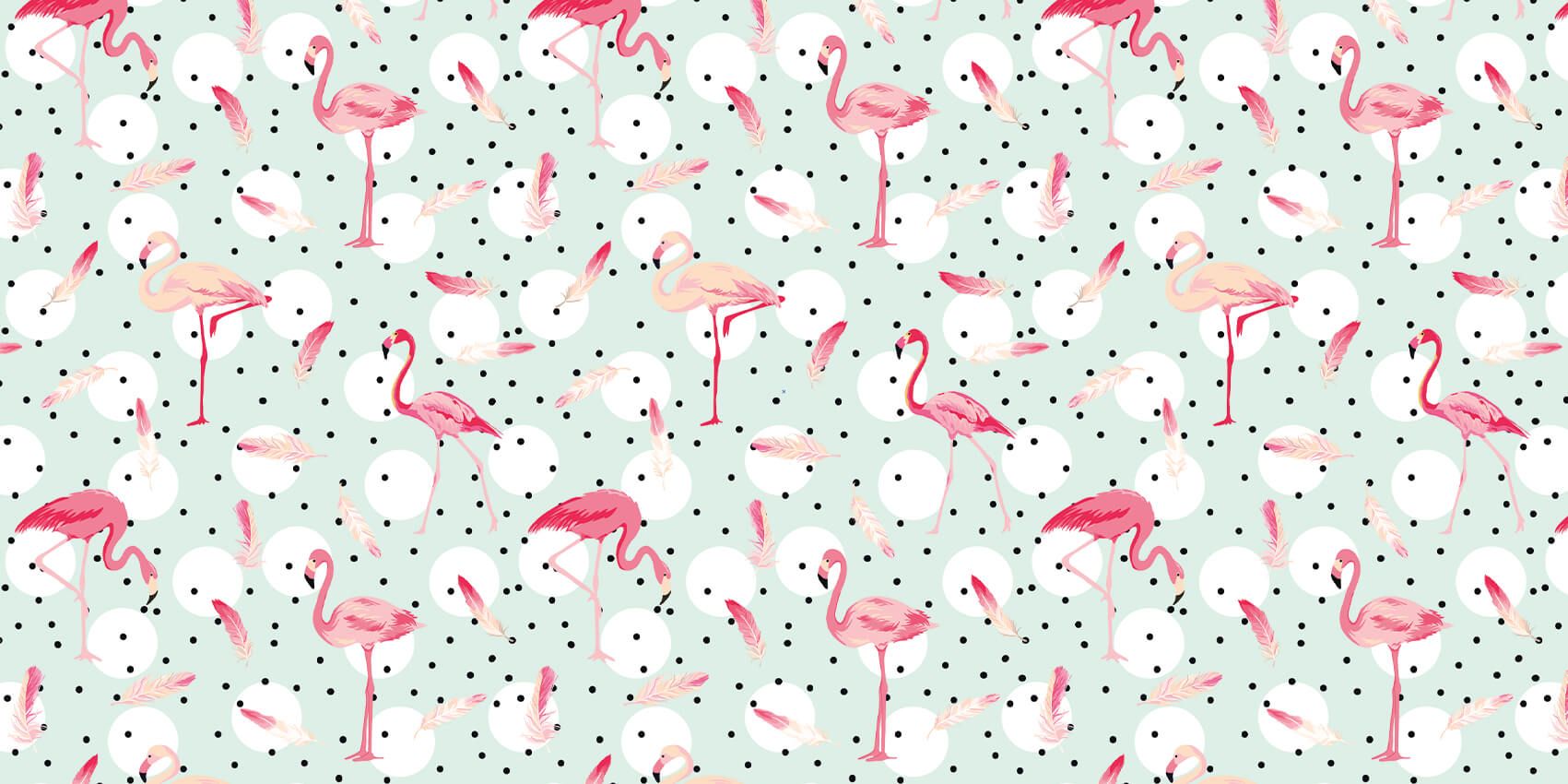 Flamingos und Federn