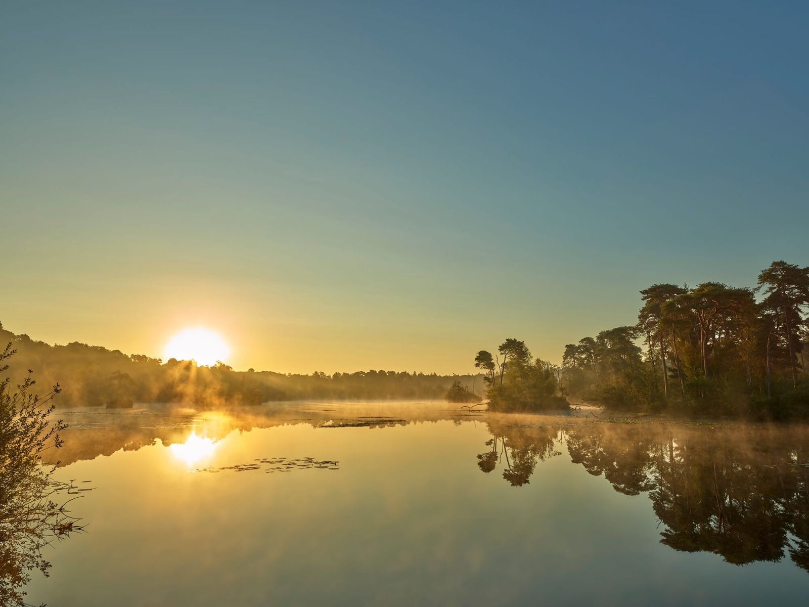 Sonnenaufgang am Waldsee