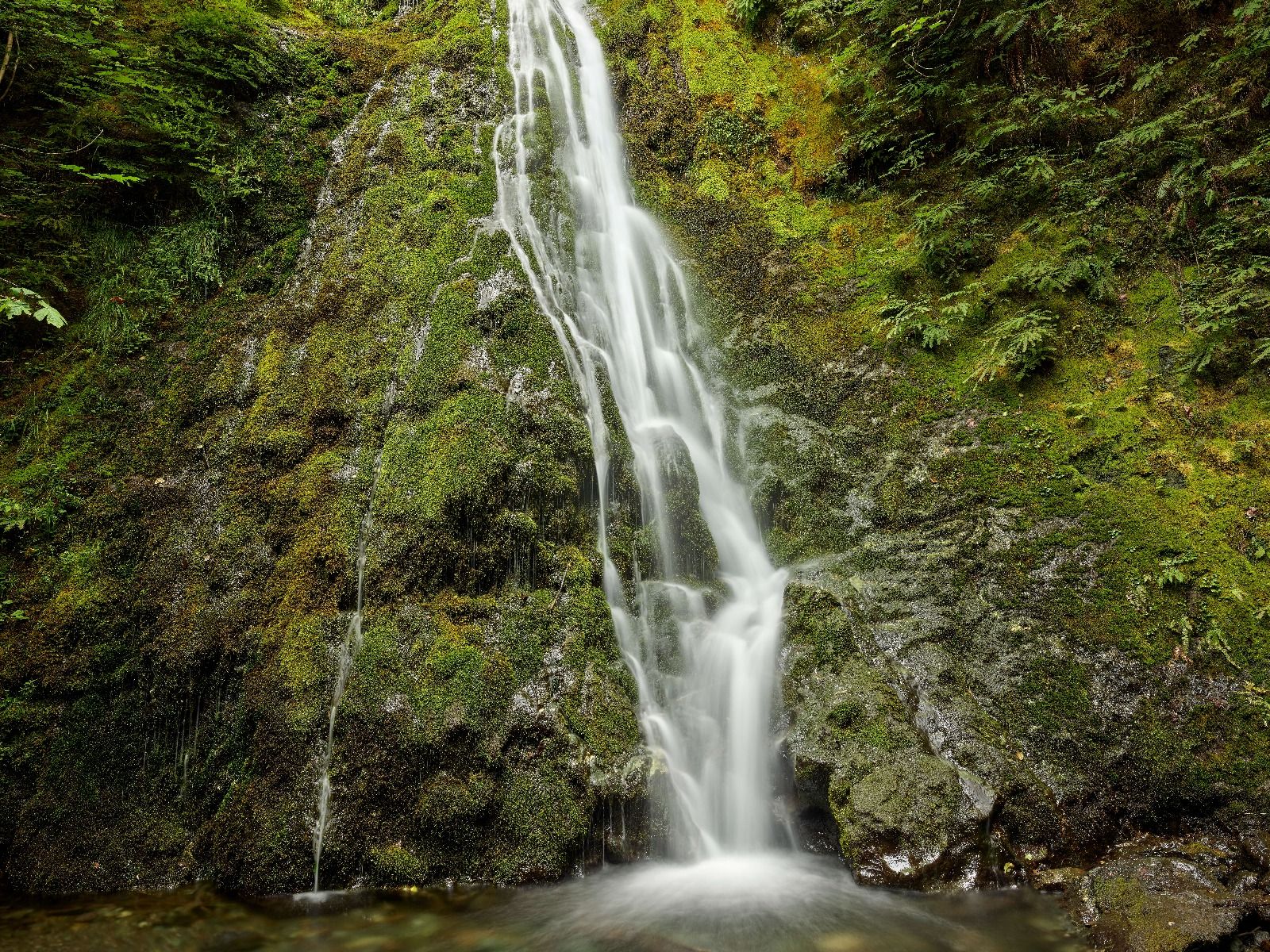Wasserfall mit schönem Grün 