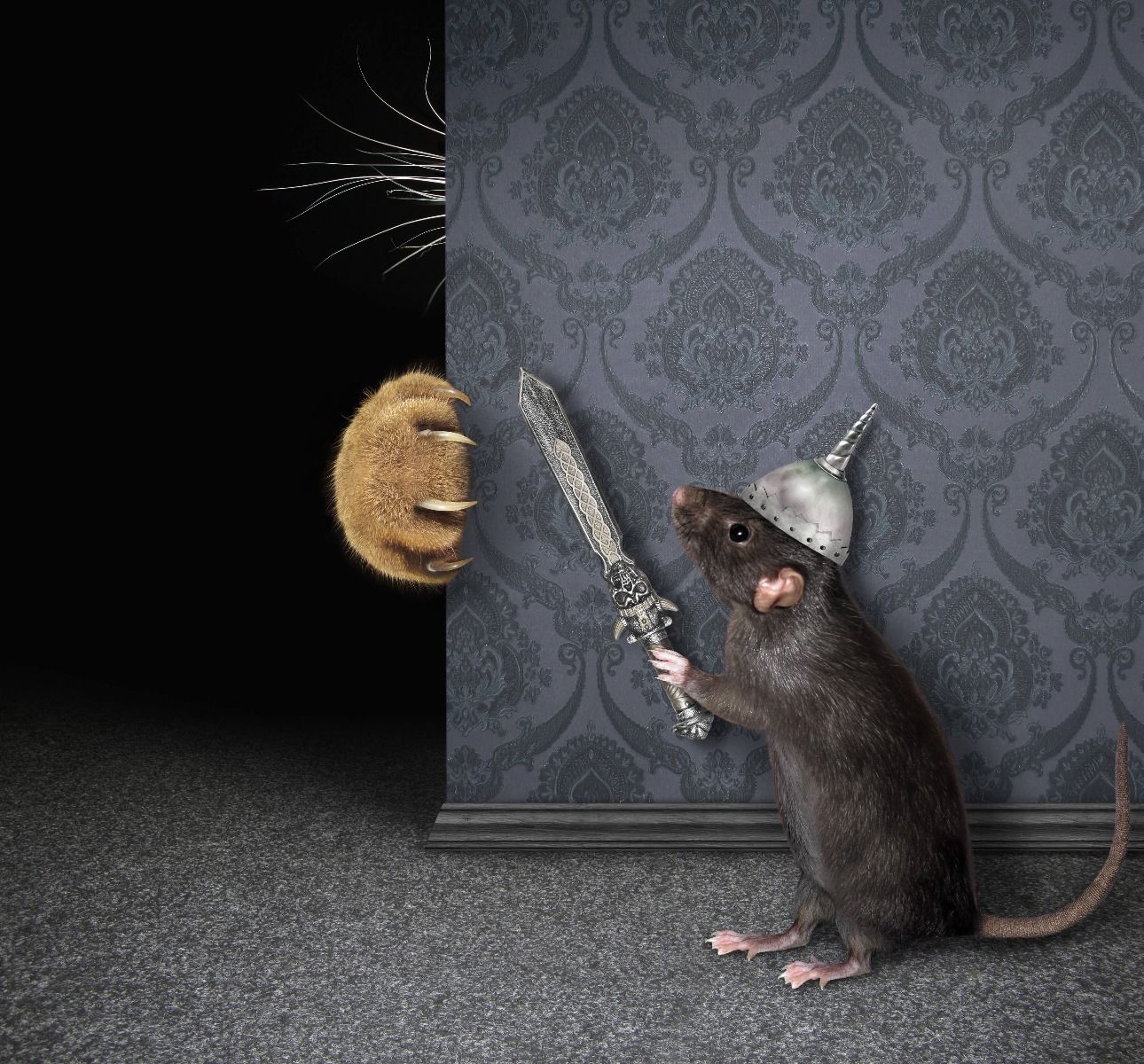 Katz und Maus