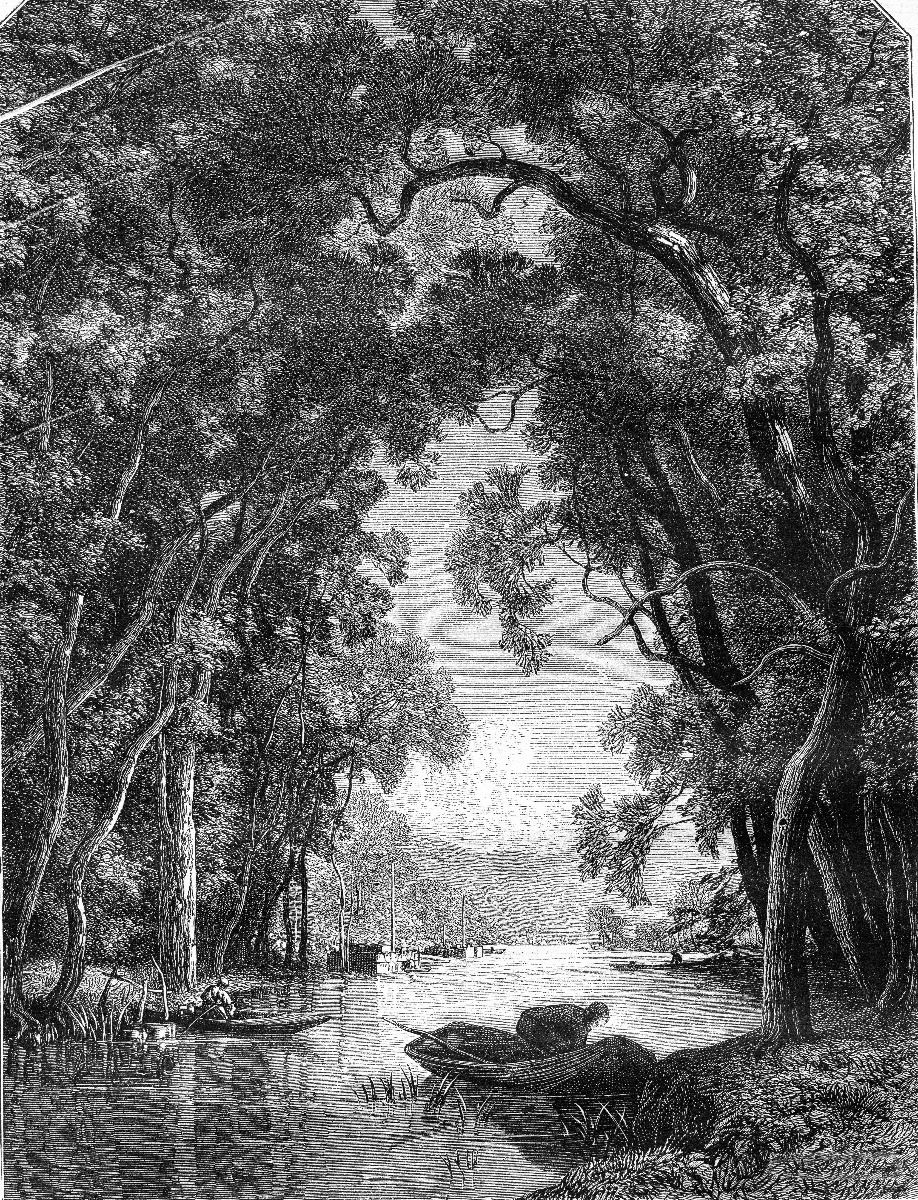 Alter Fluss im Dschungel