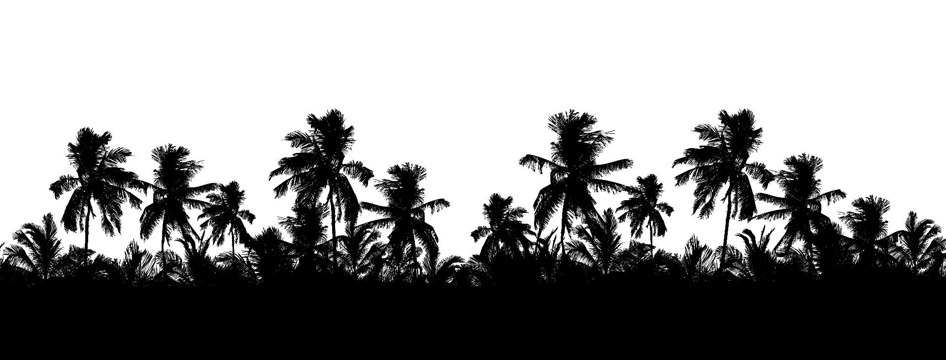 Silhouetten-Palmen