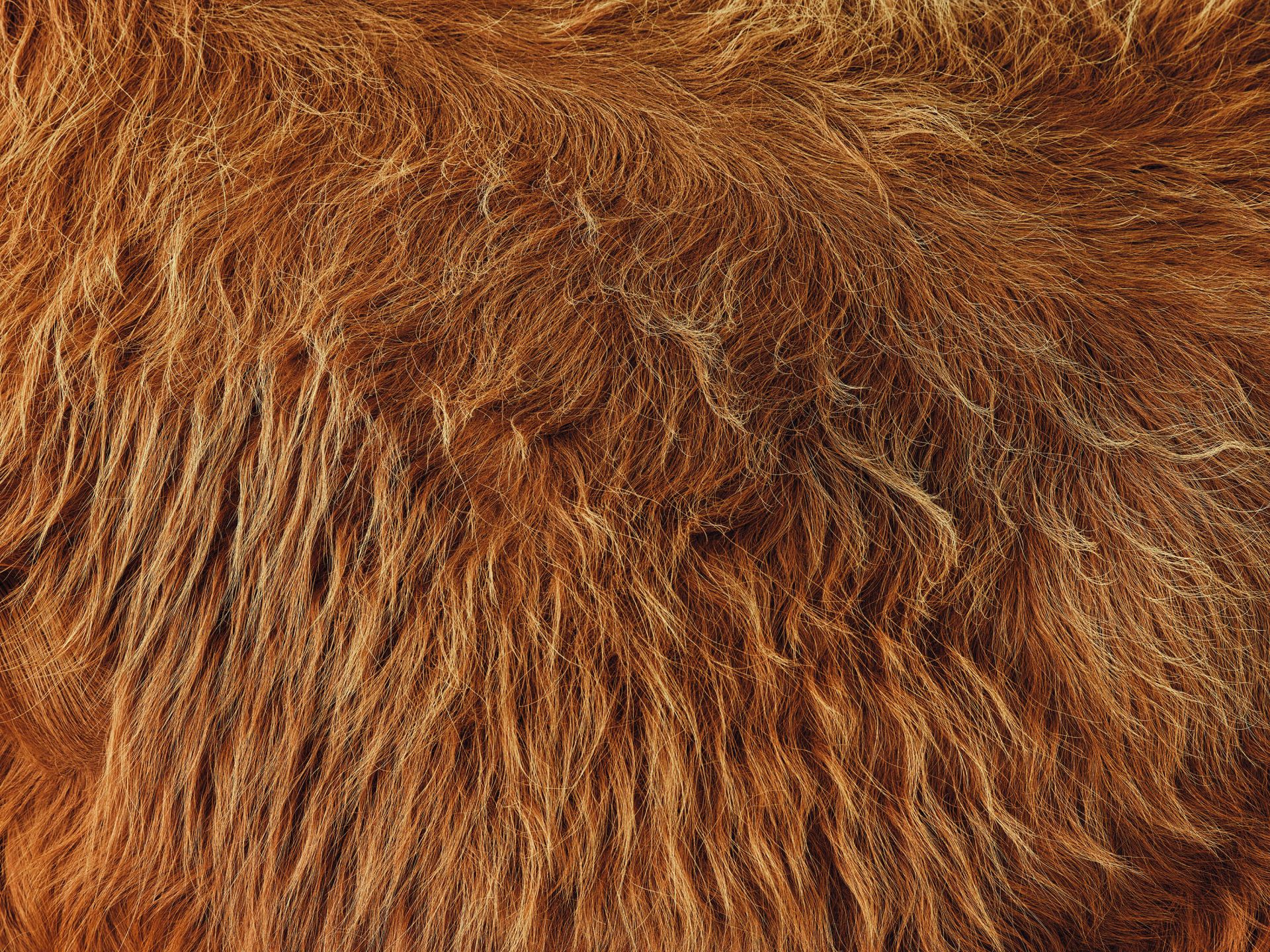 Schottischer Hochlandmantel im Vintage-Stil