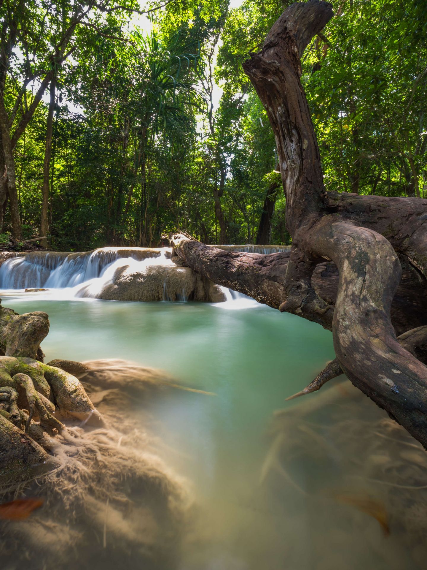 Wasserfall im Dschungel
