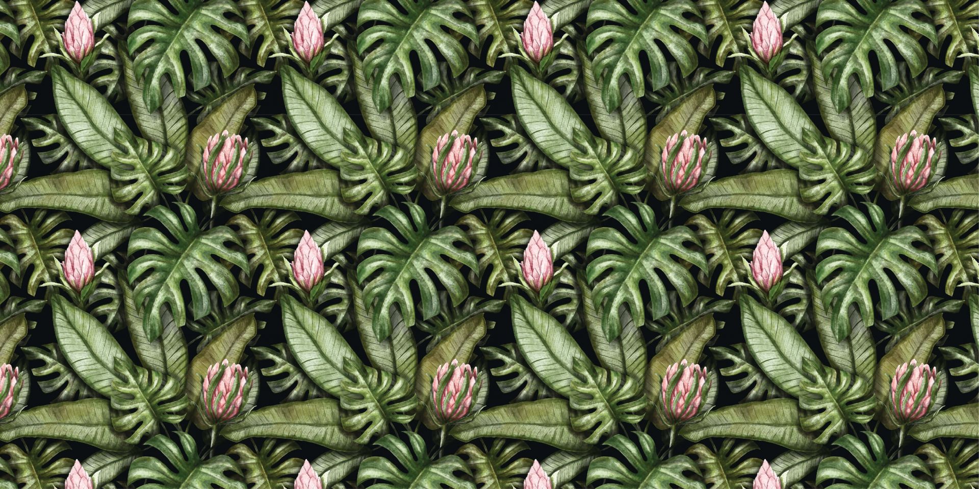 Protea Blumen