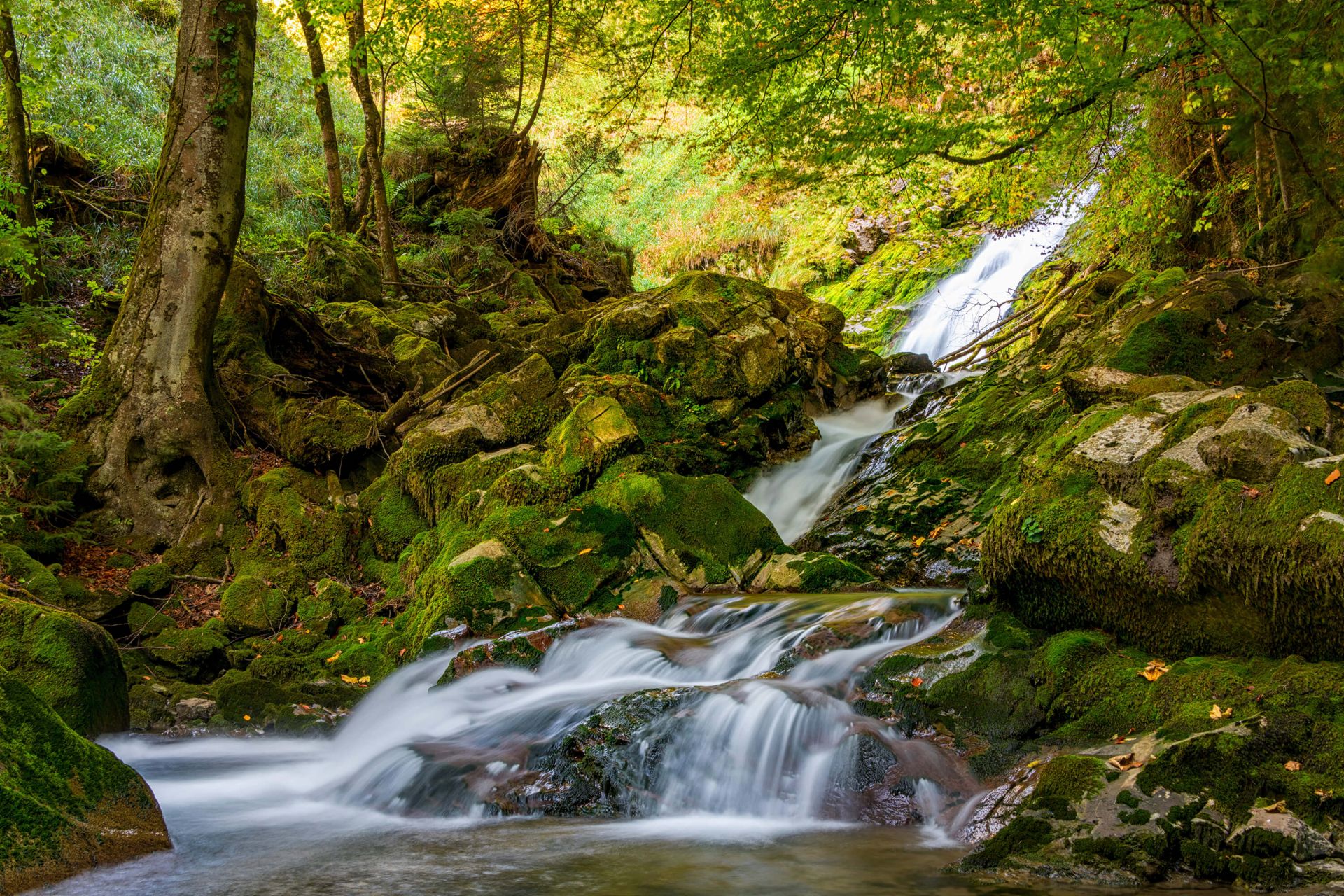 Wasserfall in der Mitte des Waldes
