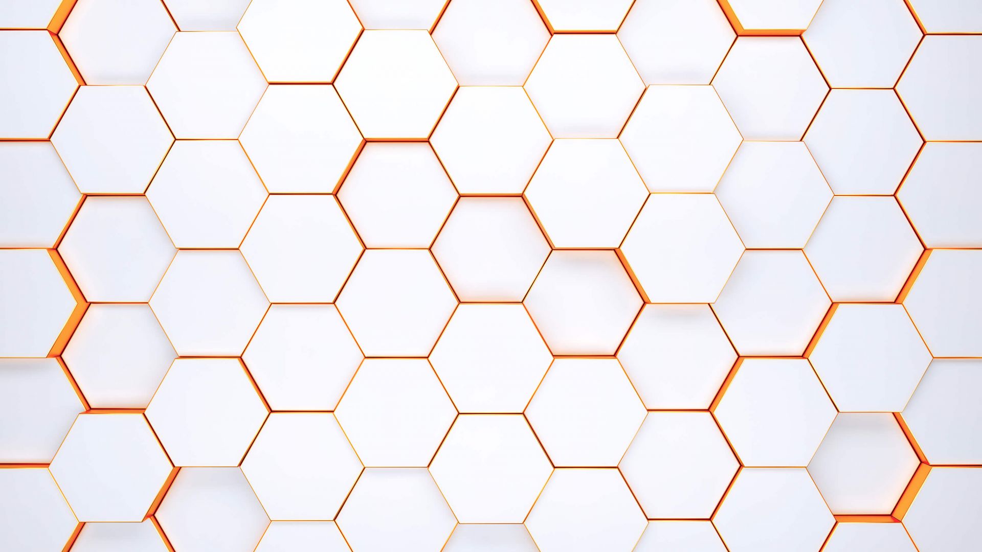 Weißer Bienenstock