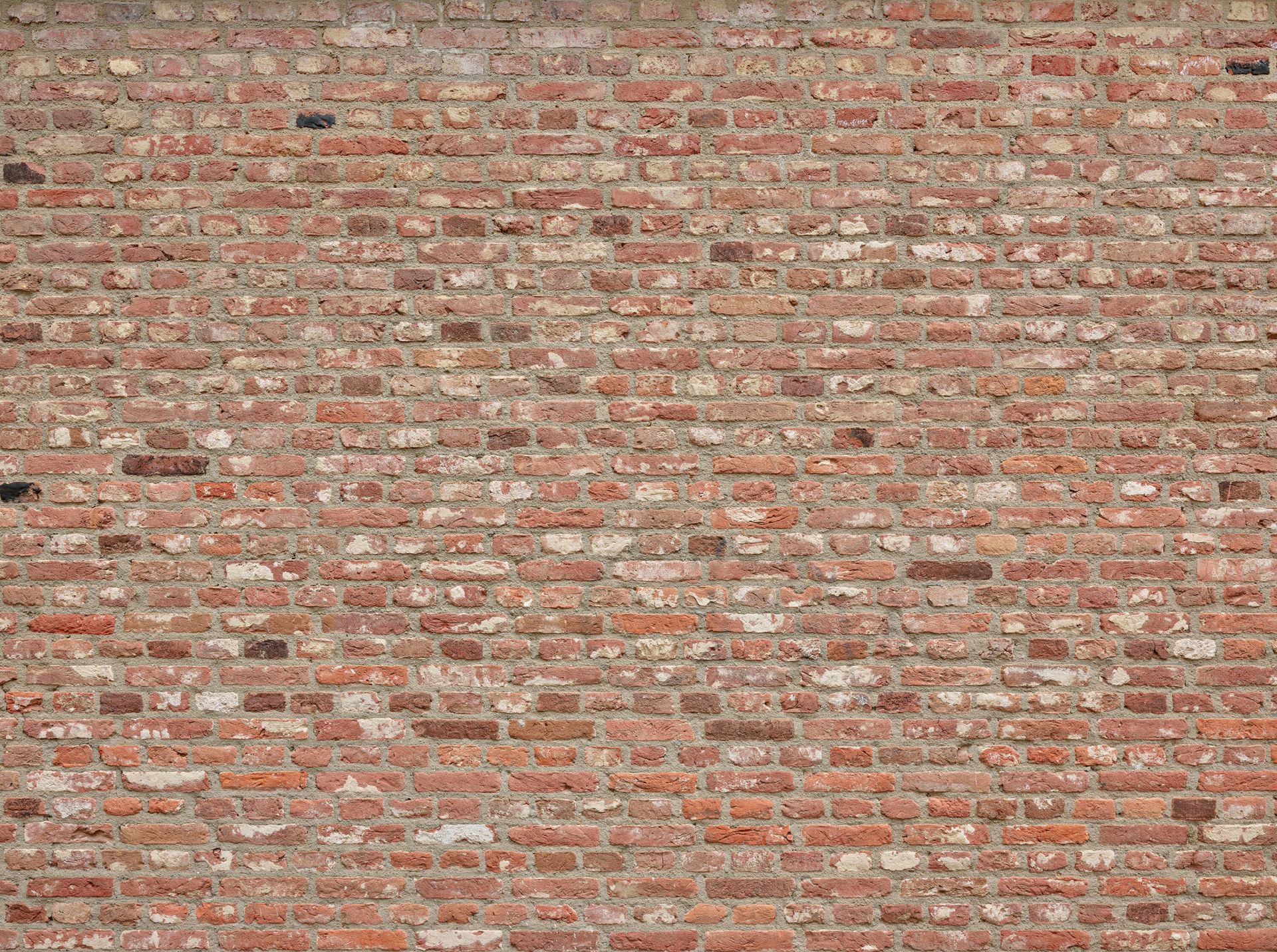 Mauer mit verschiedenfarbigen Ziegeln