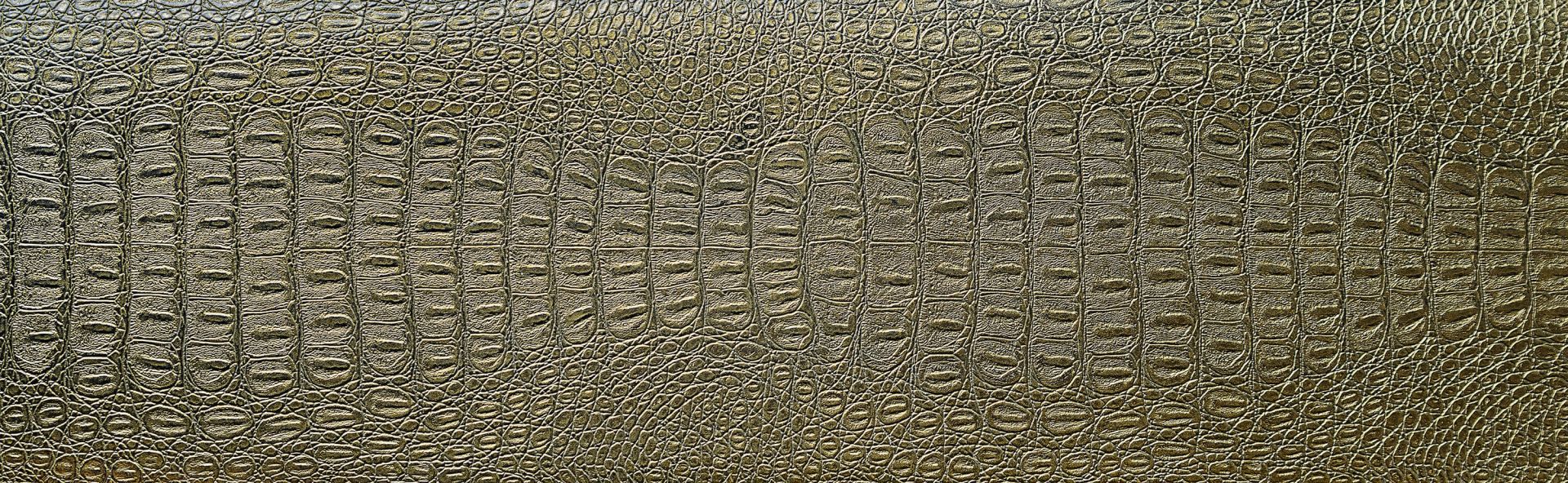 Haut eines Krokodils