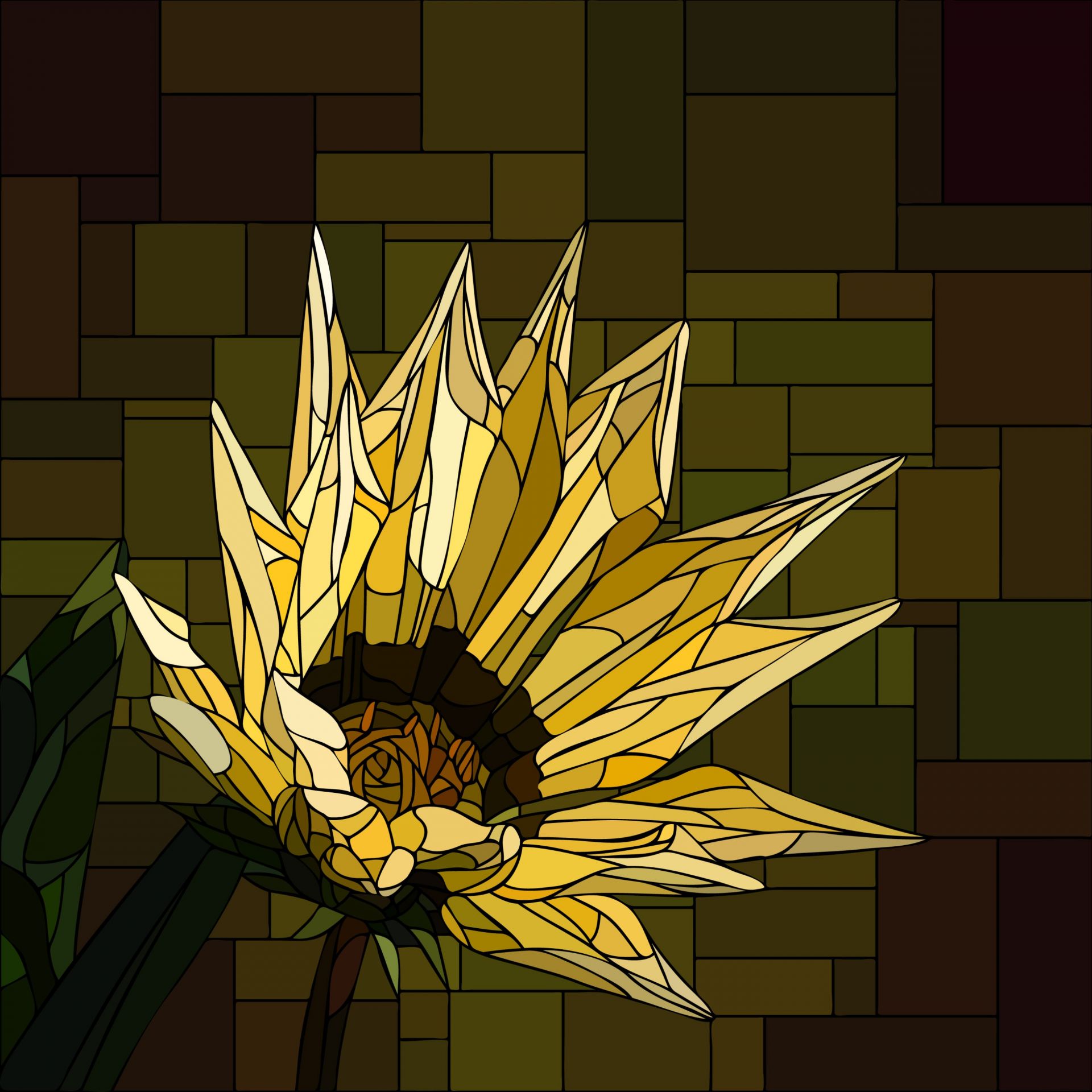 Gelbe Gazania in Blüte