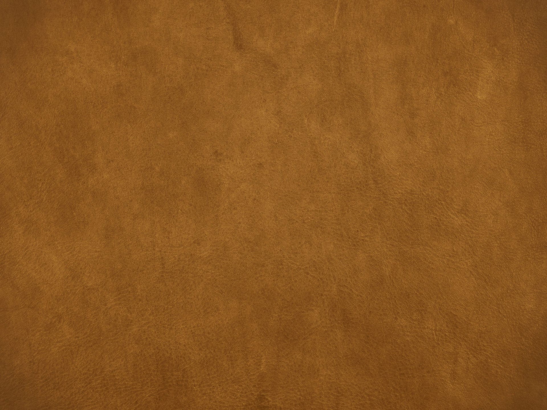 Leder gold