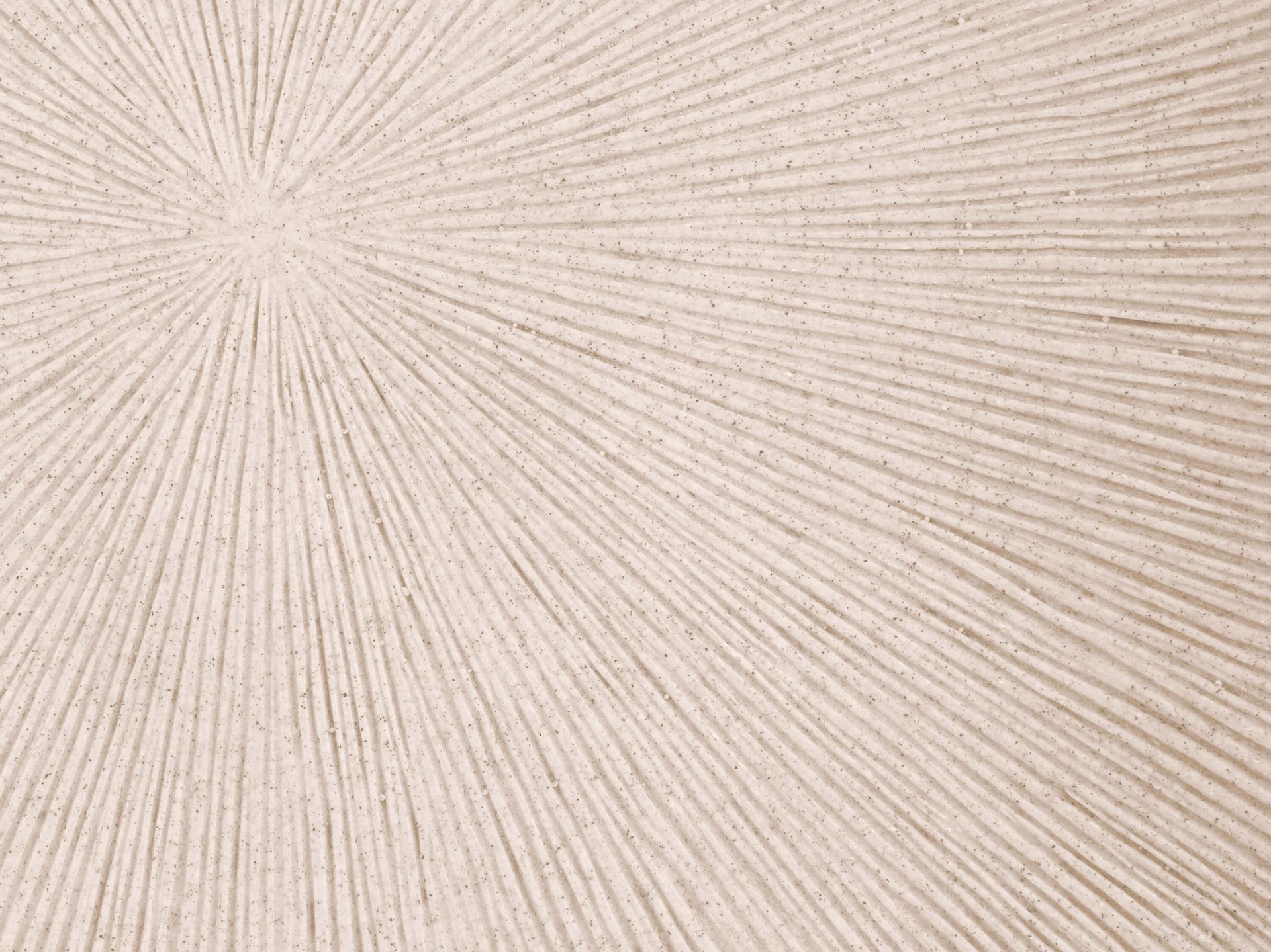 Textur mit Linien Sonne Leinen