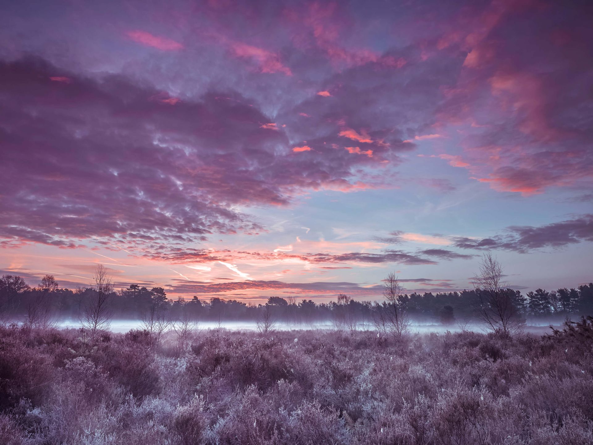 Wiese unter bewölktem Himmel