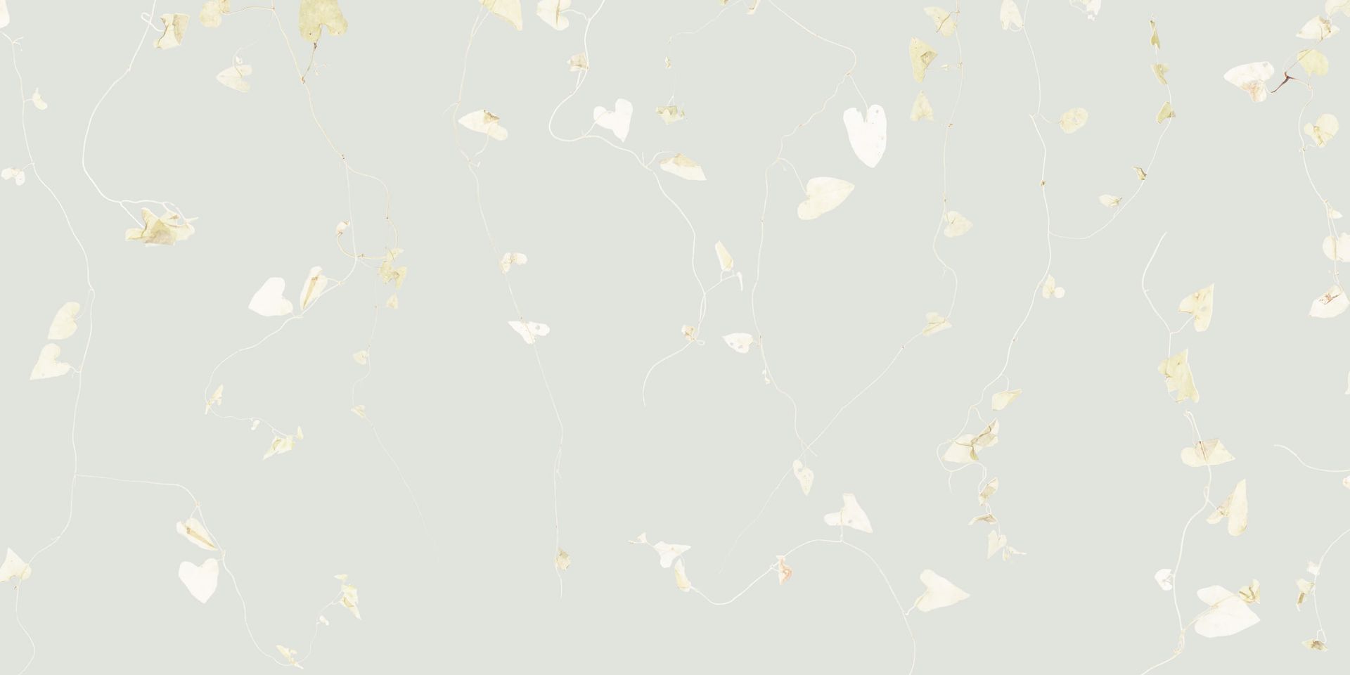 Grauwurzel neblig