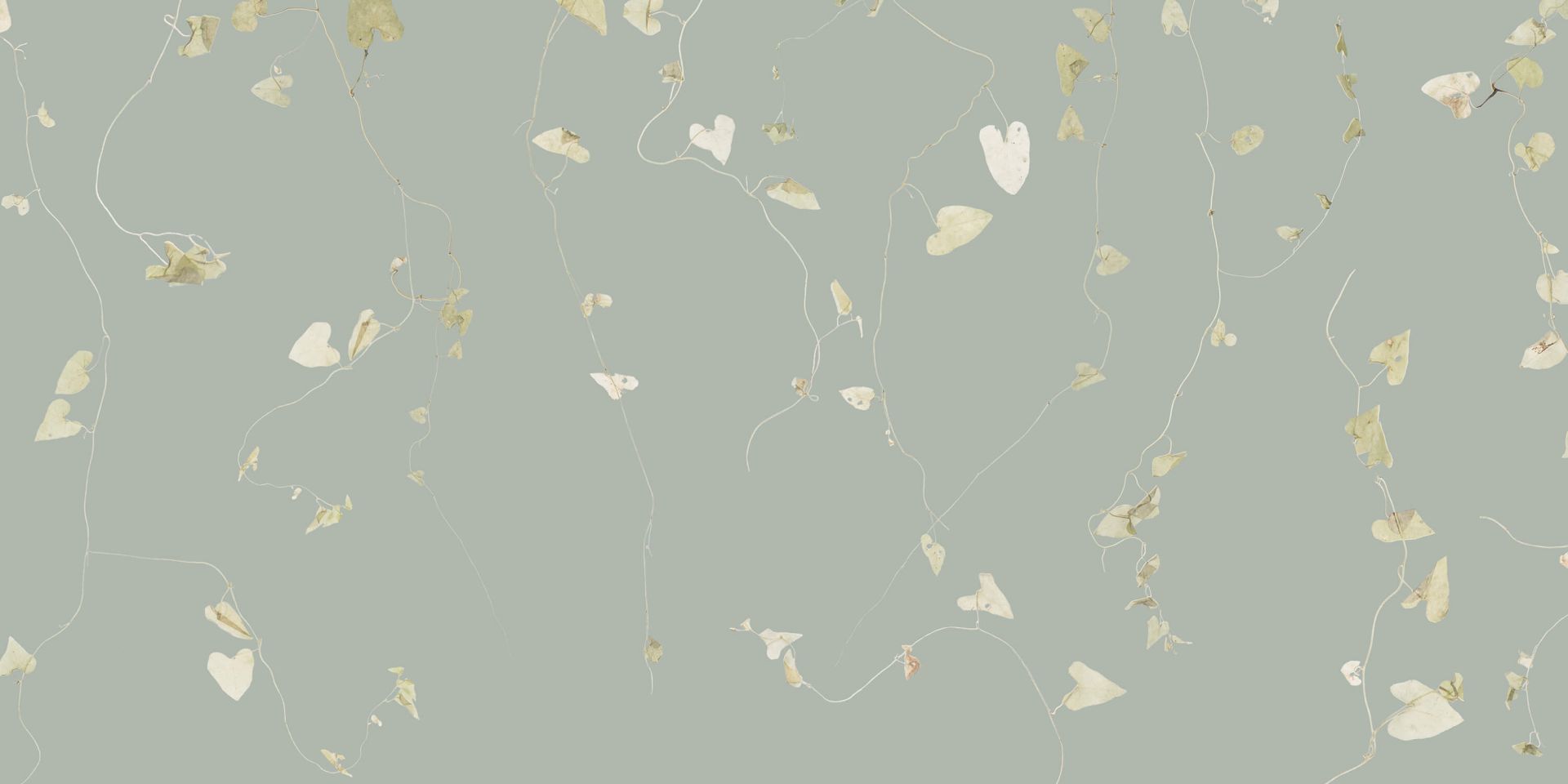 Weißdornzweige grau grün