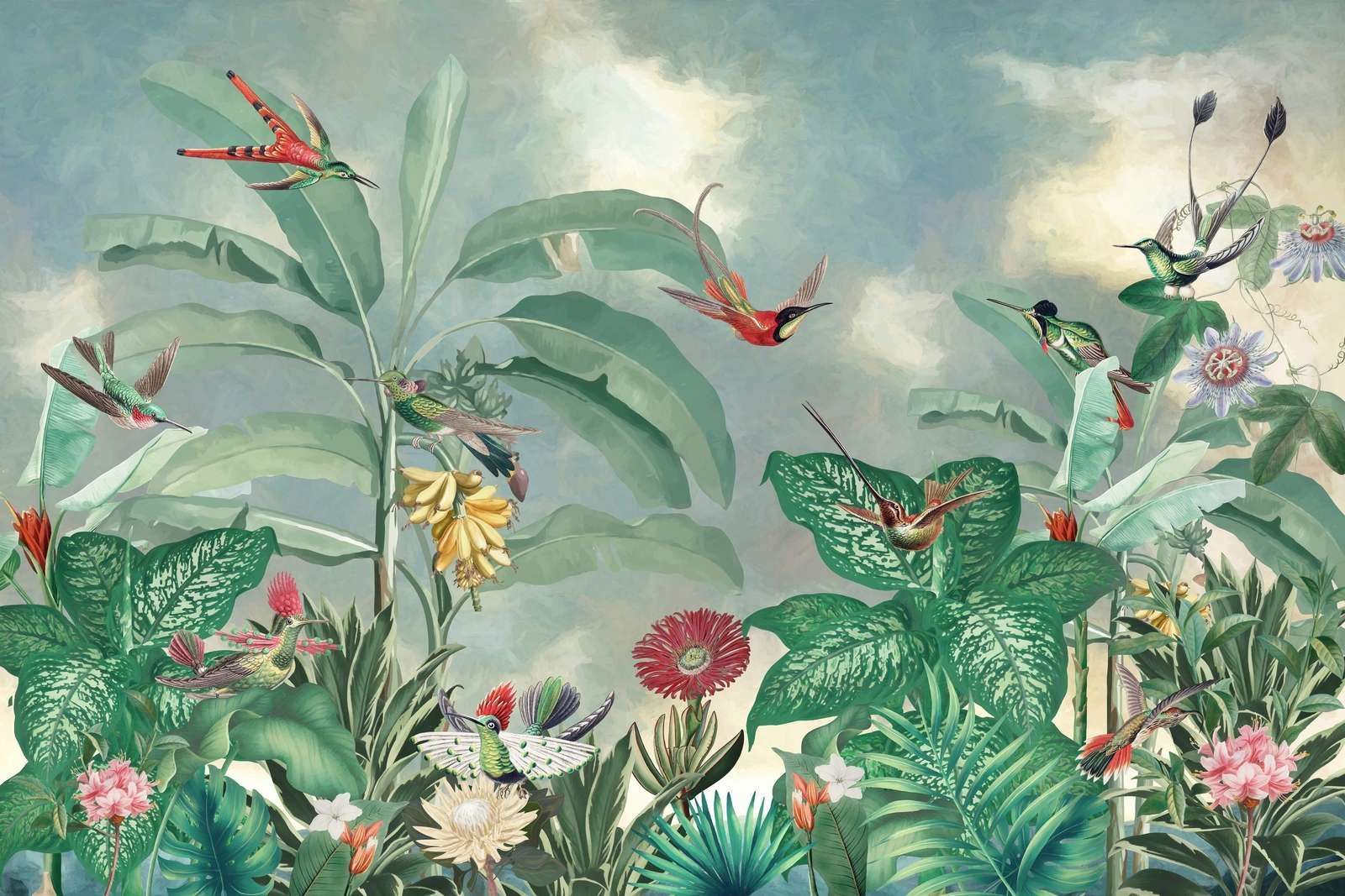 Kolibri-Paradies