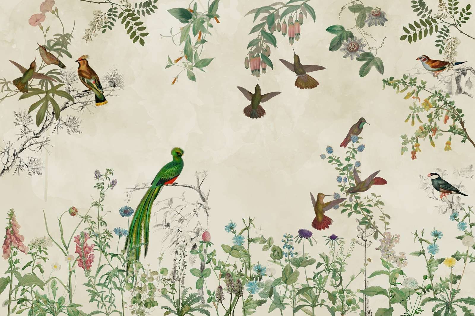 Felder bunter Vögel